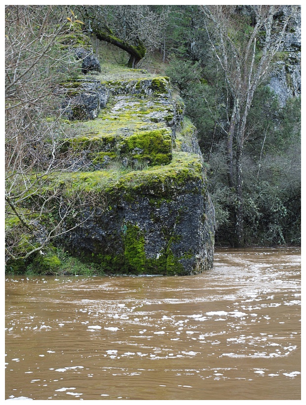 Caon del Ro Lobos