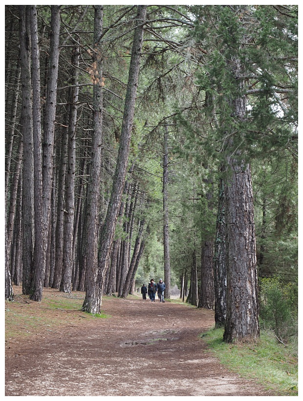 Caon del Ro Lobos