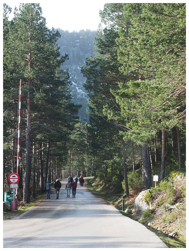 Laguna Negra