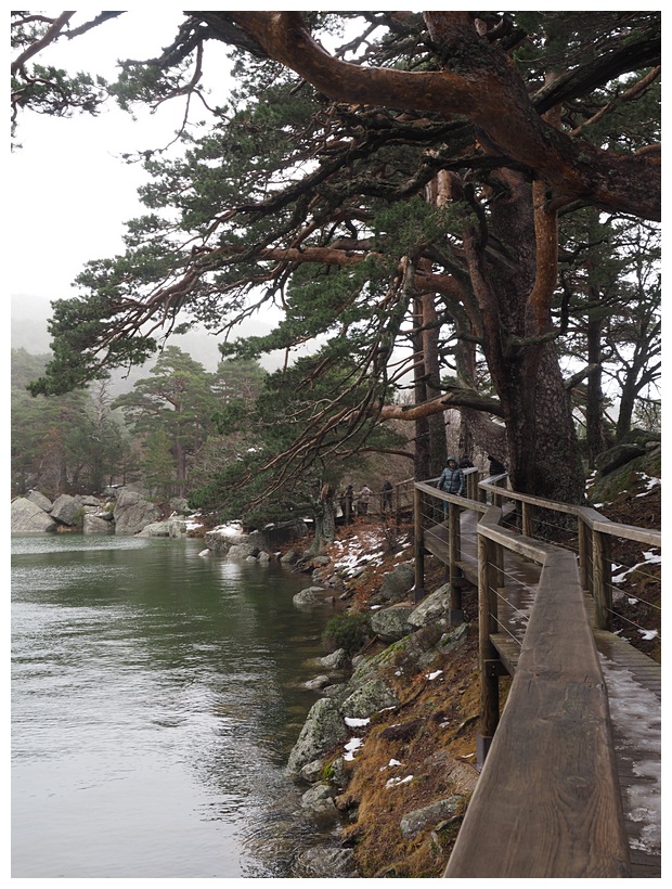 Laguna Negra