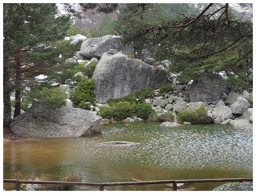 Laguna Negra