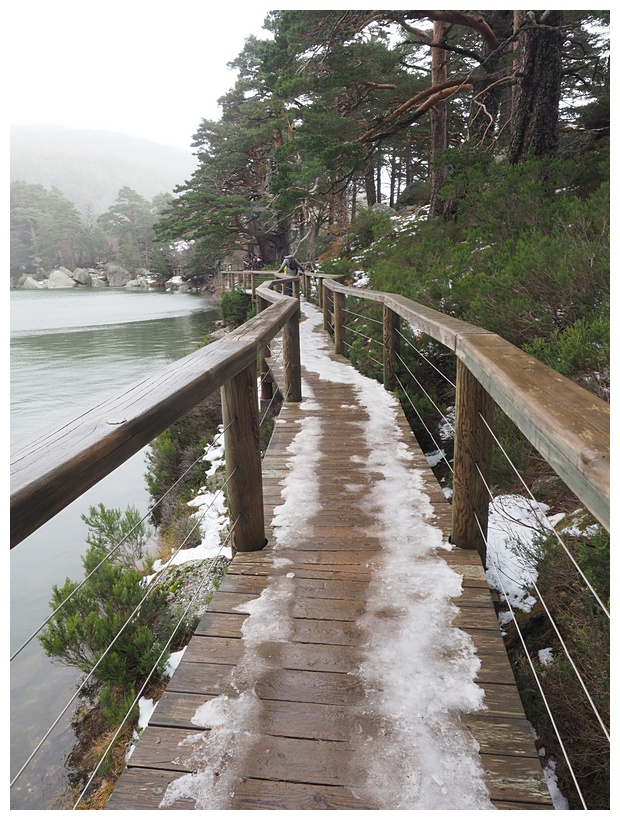 Laguna Negra