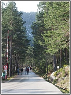 Laguna Negra