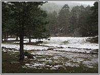 Laguna Negra