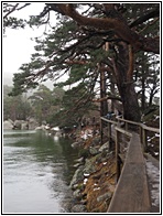 Laguna Negra