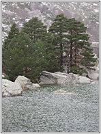 Laguna Negra