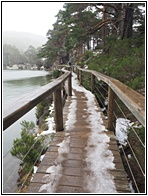 Laguna Negra