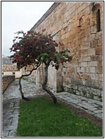 San Miguel Arcngel