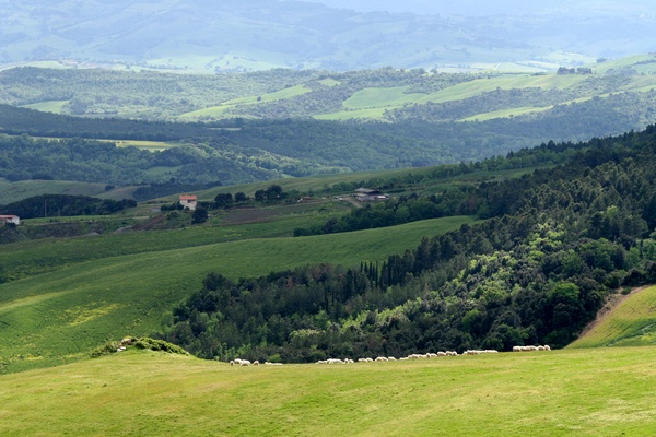 Colina Toscana