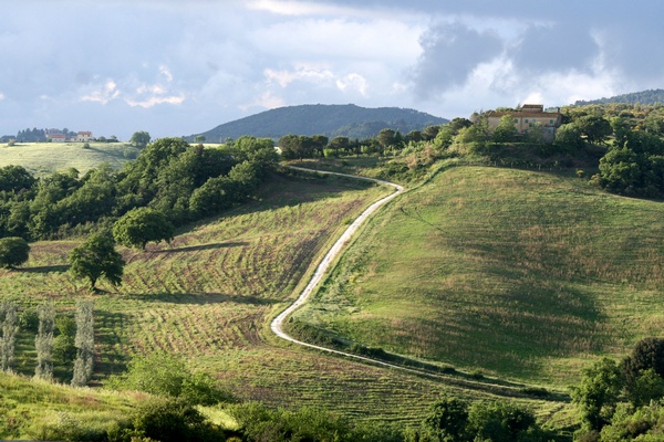 Camino Rural