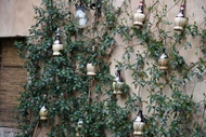 Botellas de Chianti