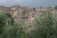 Siena
