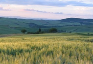 Campos de Labranza