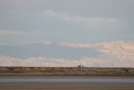 Chott El Gharsa