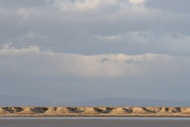 Chott el Gharsa