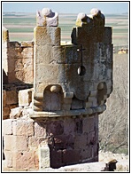 Matacanes