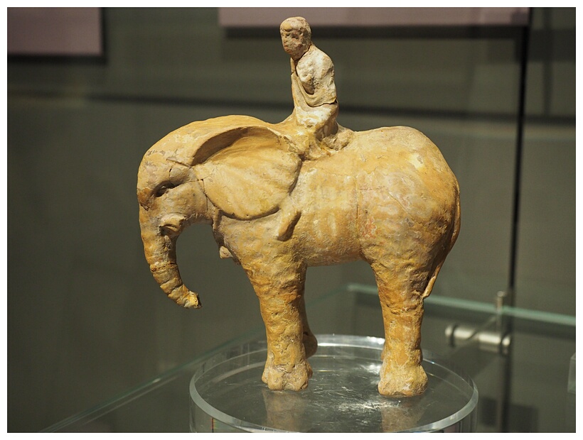 Elephant