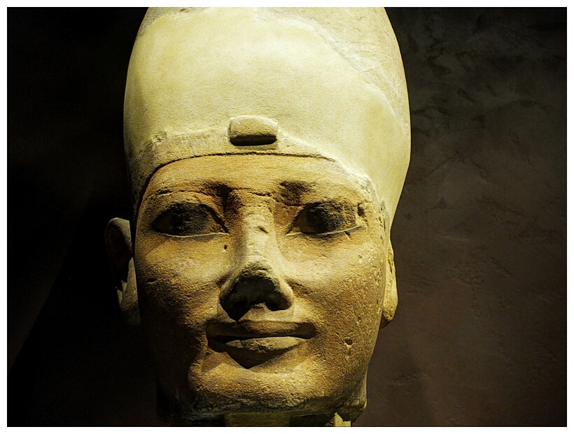 Head