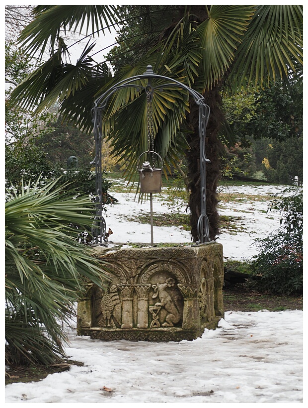 The Well
