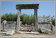Portal to the Fields