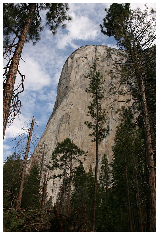 Yosemite Walls