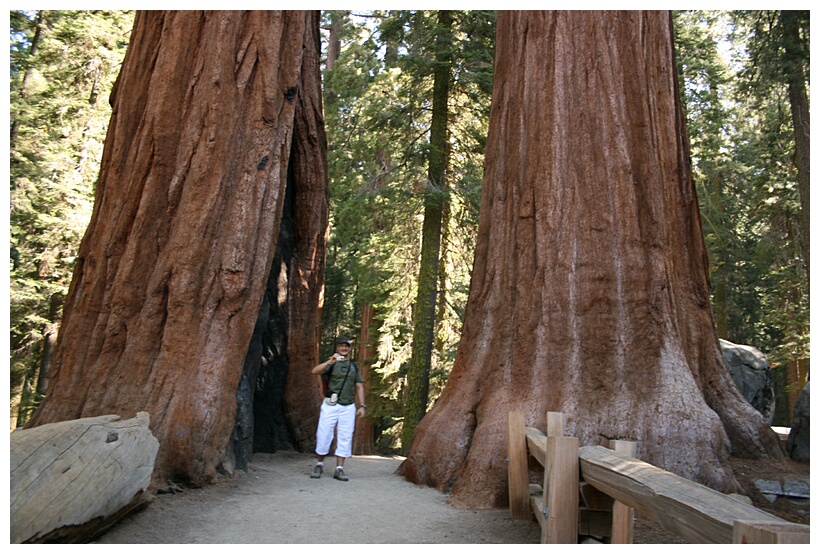 Between Giants
