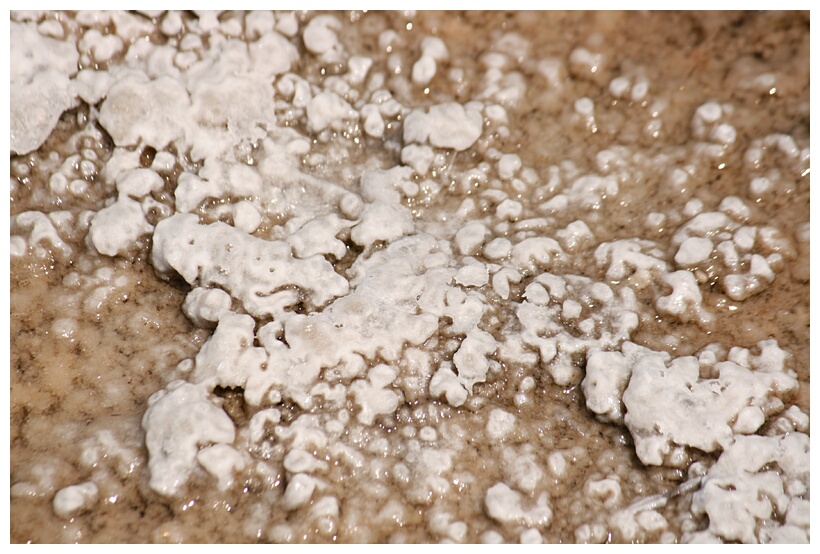 Salt Crystals