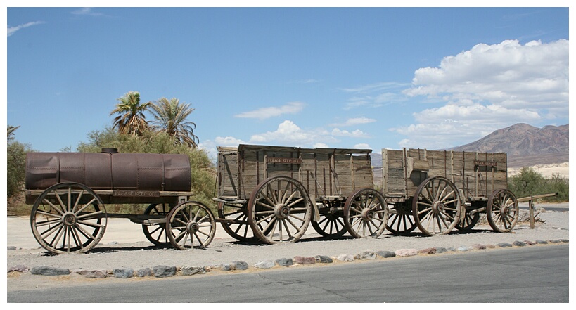 Twenty Mule Teams