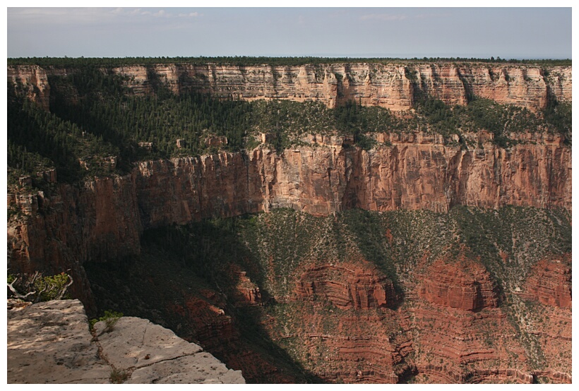 Vertical Walls