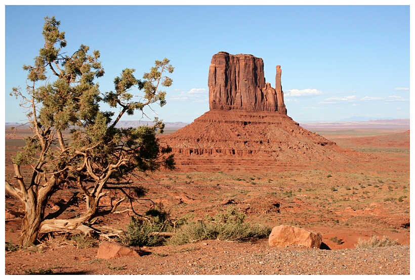 West Mitten