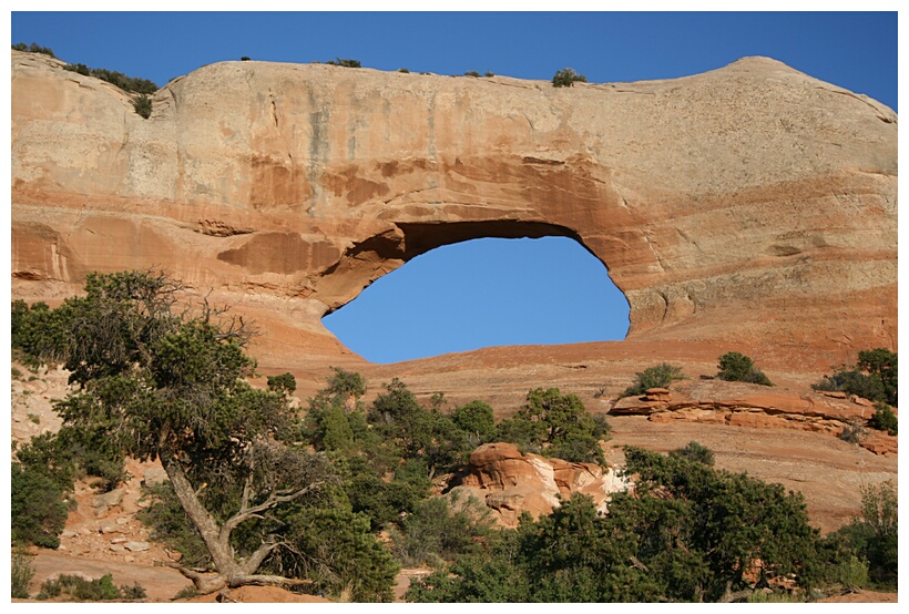 Wilson Arch