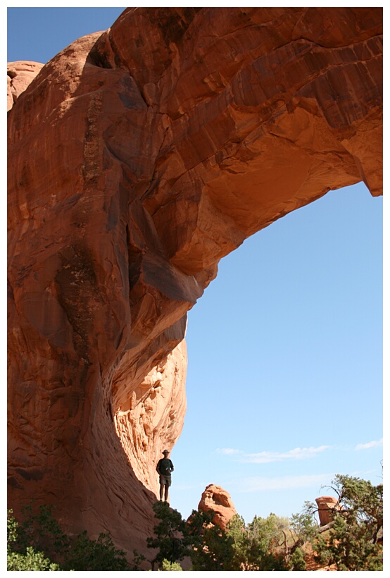 Pine Tree Arch