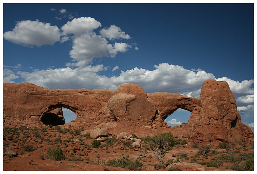 The Windows