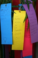 Paper Wishes