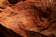 Sequoia Wood