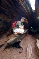 In a Fallen Log