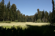 Crescent Meadow