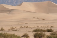 Sand Dunes