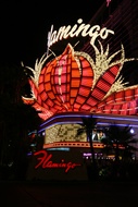 Flamingo Neons