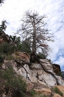 Descending to the Canyon