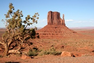 West Mitten