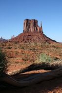 West Mitten