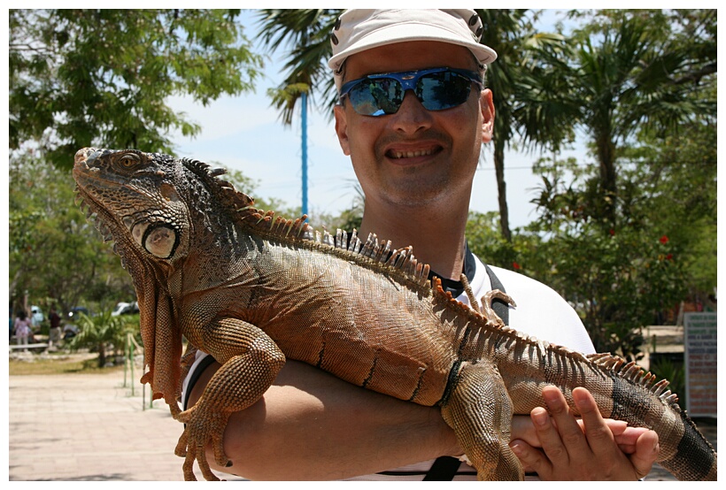 La Gran Iguana
