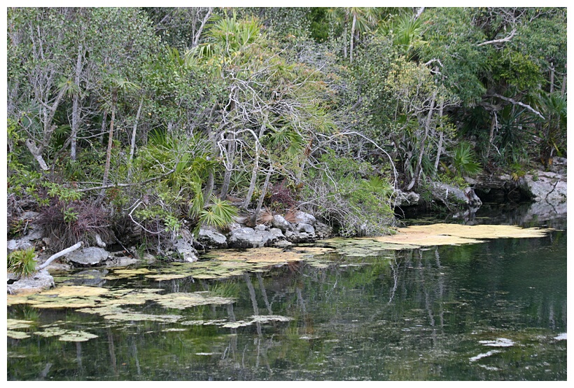 Cenote de Xel-Ha