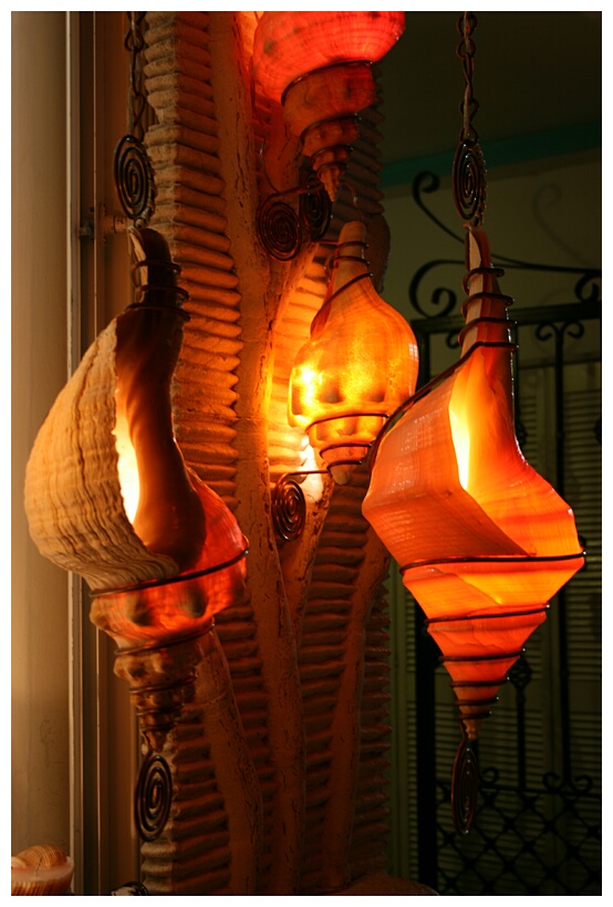 Caracolas Luminosas
