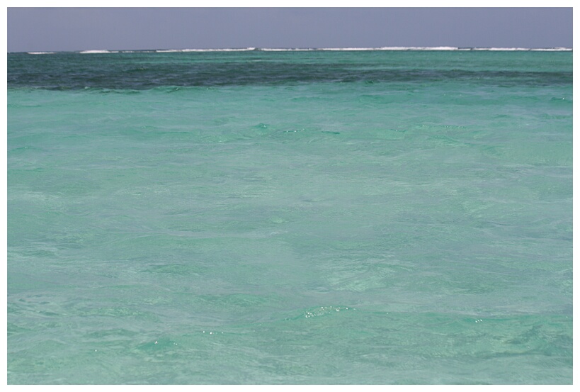 Barrera Coralina