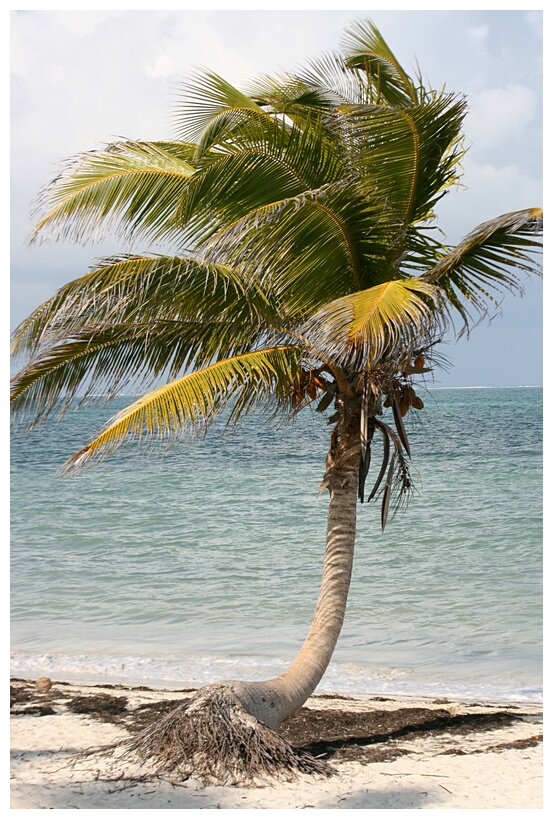 Playa de Punta Allen