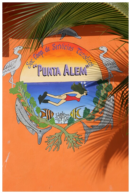 Punta Allen