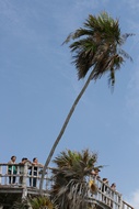 Mirador sobre el Mar