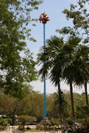 Palo Volador